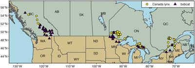 Patterns of dietary niche breadth and overlap are maintained for two closely related carnivores across broad geographic scales